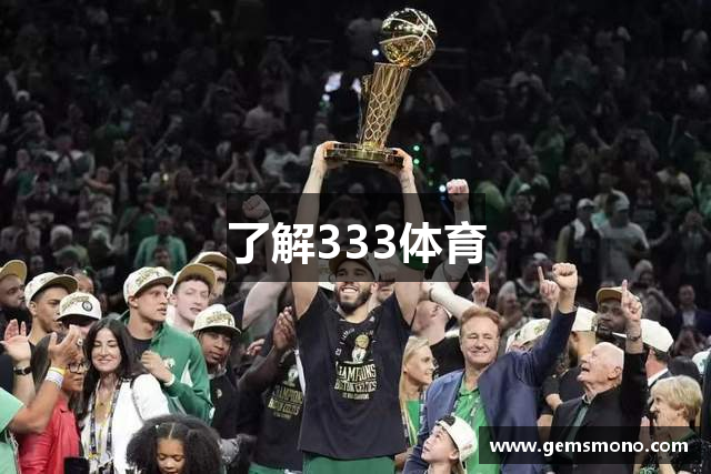 了解333体育